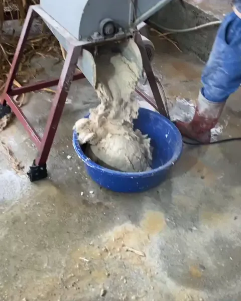 Máy nghiền củ sắn dây đã rửa sạch